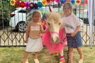 Mobile Mini Ponies undefined Profile 1