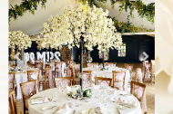 Special Touch Event Hire