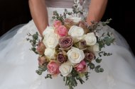 Cotswold Blooms undefined Profile 1