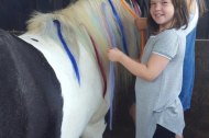 Therapeutic Equine Assisted Learning CIC