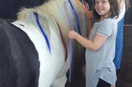 Therapeutic Equine Assisted Learning CIC undefined Profile 1