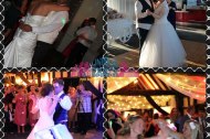Unique Party Experience