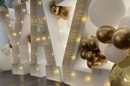 Hollywood Lights Ltd