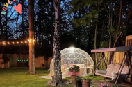 Hollywood Lights Ltd