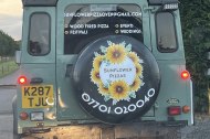 Sunflower Pizzas
