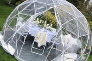 The Igloo Company