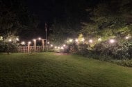 Festoon lights