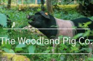 The Woodland Pig Co