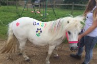 Daisy's Pony Parties