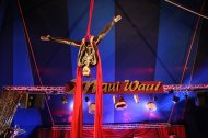Aerialism Circus