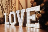 Wild About Events