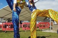 Wolf Entertainments
