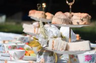 Butterfly Garden Tea Parties