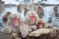 Rental Hot Tubs