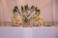 Design by Dima