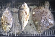 Goierri Foods