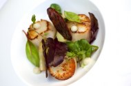 Any Events Catering