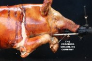 The Cracking Crackling Company