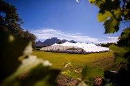 Dynamic Stretch Tents