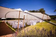 Dynamic Stretch Tents