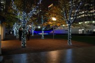 Trafalgar Lighting