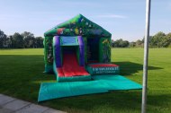 DM Inflatables & Party Services