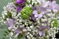 Ivy Green Flowers