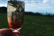 A Drop Of What You Fancy