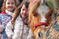 Raspberry Fields Pony Parties