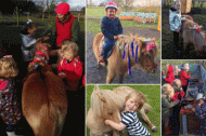 Raspberry Fields Pony Parties