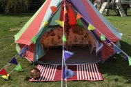 Sweet Dreams Candy Cart
