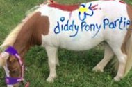 Diddy Pony Parties