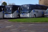 Maynes Coaches