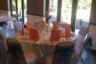 Butterfly Wedding Supplies