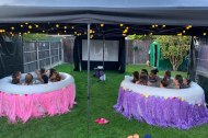 Bubbletubs Berkshire