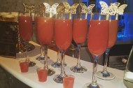 O.R. Butterfly Events