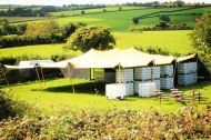 Prickly Pear Stretch Tents