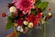 Vintage and Bloom