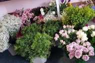 To Have To Hold Floral Design