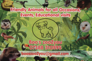 Boo's Mobile Zoo