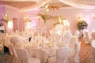 Stingray Events