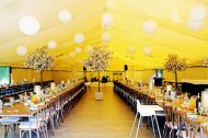 White Orchid Events
