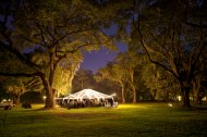 White Orchid Events