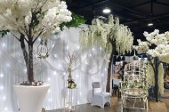 Celebration Balloons and Event Decor