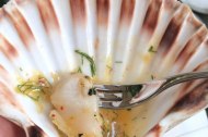 M R Catering Services Ltd
