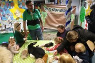 Get to Know Animals Ltd