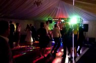 Busy Bee Events