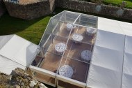 24 Carrot Event Hire