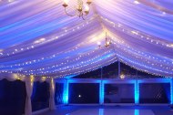 24 Carrot Event Hire