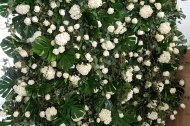 Bamboo Flowers Ltd